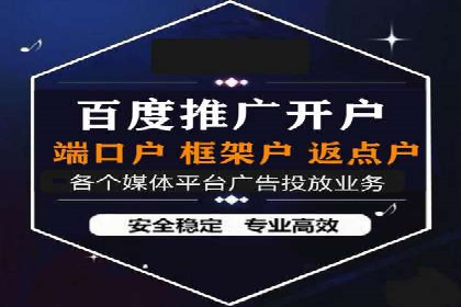 竞价端口开户全攻略，案例分析